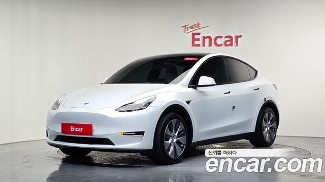 Tesla Model Y Long Range AWD - фото 0