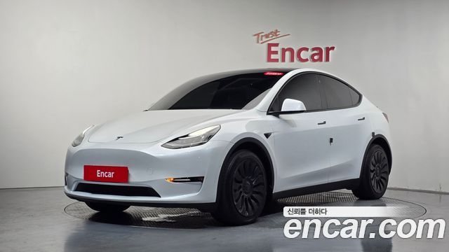 Tesla Model Y Long Range AWD - фото 0