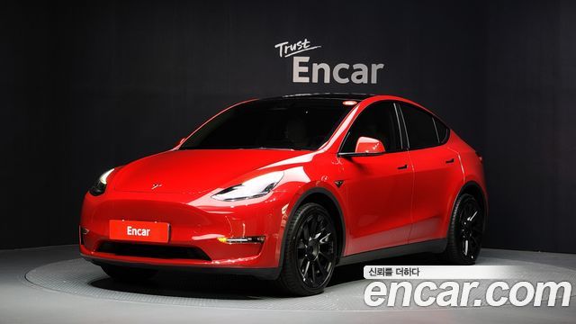 Tesla Model Y Long Range AWD - фото 0