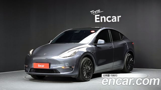 Tesla Model Y Long Range AWD - фото 0