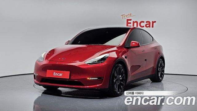 Tesla Model Y Performance AWD - фото 0
