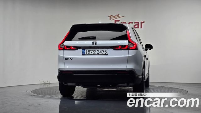 Honda CR-V 6-го поколения 1.5 EX-L 2WD - фото 3