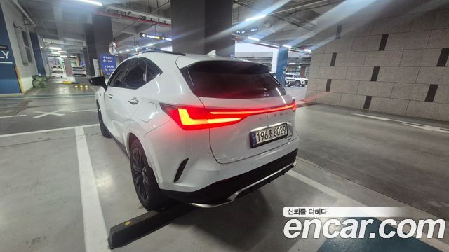 Lexus NX 2-го поколения F-Sport - фото 1