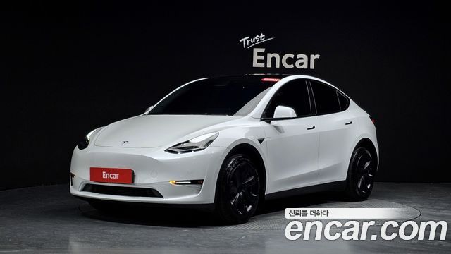 Tesla Model Y Long Range AWD - фото 0