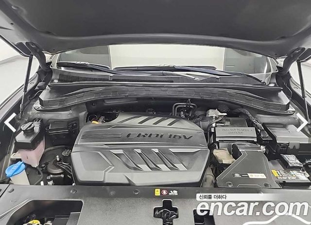 Hyundai Santafe TM Diesel 2.0 2WD Exclusive Special - фото 4