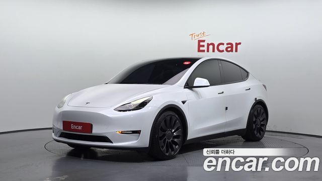 Tesla Model Y Performance AWD - фото 0