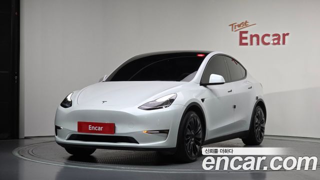 Tesla Model Y Long Range AWD - фото 0