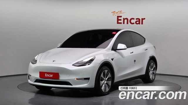 Tesla Model Y Long Range AWD - фото 0