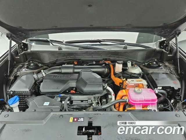 Hyundai Santafe MX5 HEV 1.6 4WD Calligraphy - фото 4