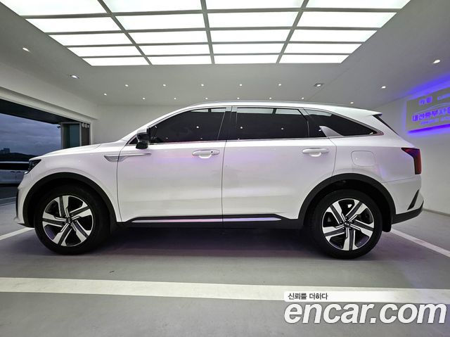 Kia Sorento 4-го поколения HEV 1.6 2WD Noblesse - фото 3