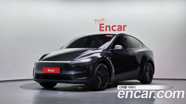 Tesla Model Y Long Range AWD - фото 0