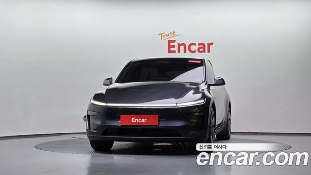 Tesla Model Y Long Range AWD - фото 1