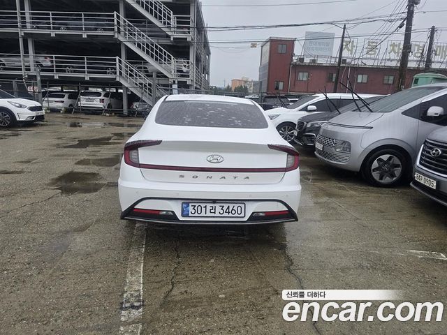 Hyundai Sonata DN8 2.0 LPG(rental car) Style - фото 3