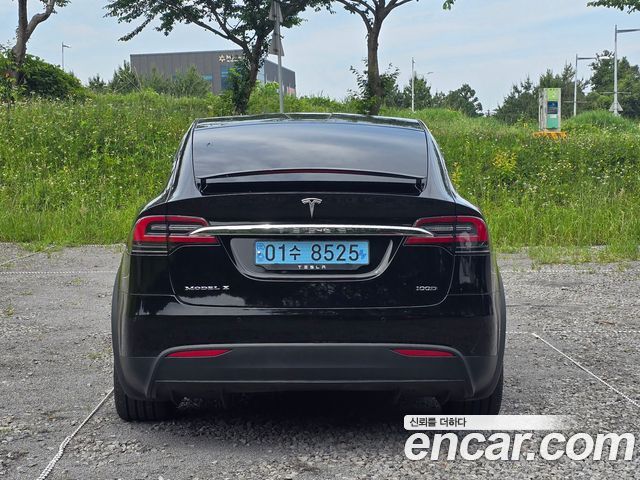 Tesla Model X 100D - фото 0