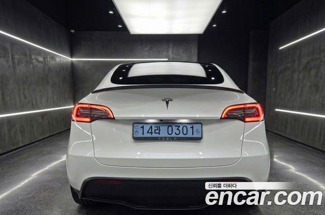Tesla Model Y RWD - фото 1