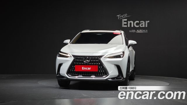 Lexus NX 2-го поколения Premium - фото 1