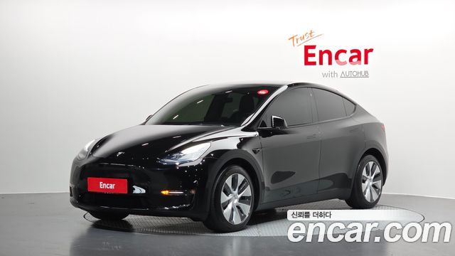Tesla Model Y Long Range AWD - фото 0