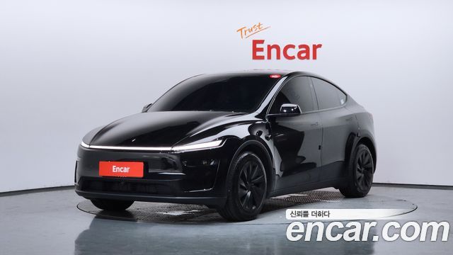 Tesla Model Y Premium Long Range AWD - фото 0