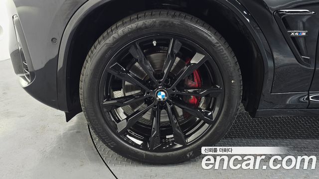 BMW X4 G02 xDrive20i M Sport Pro Special Edition - фото 4
