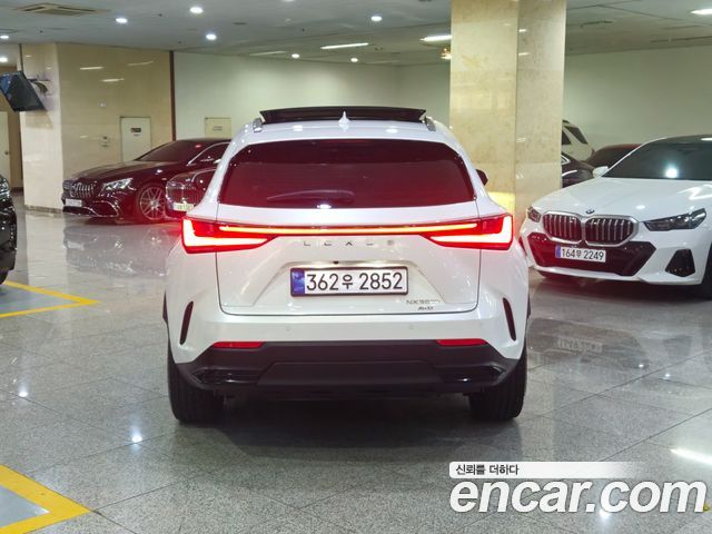 Lexus NX 350h 2-го поколения Luxury - фото 2