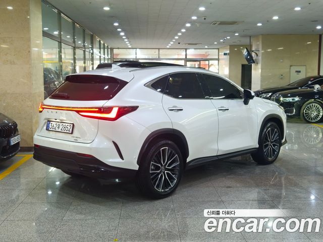 Lexus NX 350h 2-го поколения Luxury - фото 3