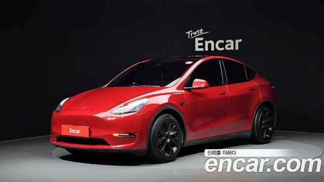 Tesla Model Y Long Range AWD - фото 0