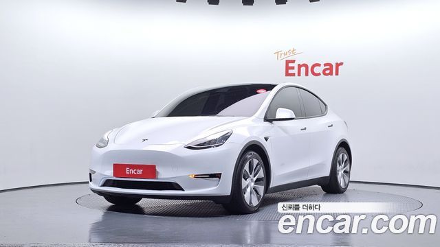 Tesla Model Y Long Range AWD - фото 0