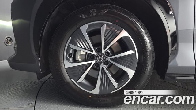 Lexus RZ Luxury - фото 4