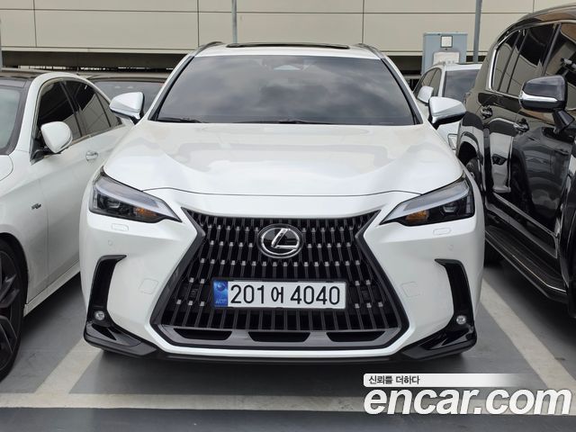 Lexus NX 2-го поколения Premium - фото 0