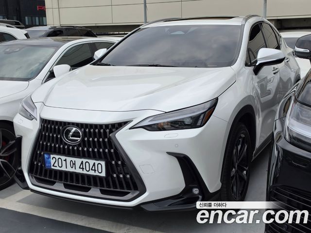 Lexus NX 2-го поколения Premium - фото 1
