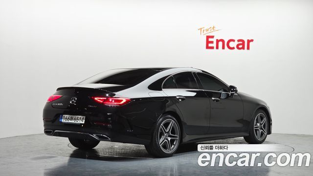 Mercedes-Benz CLS-Class C257 CLS300d 4MATIC - фото 1