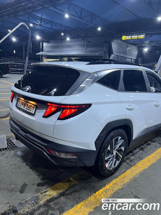 Hyundai Tucson NX4 Diesel 2.0 2WD Premium - фото 1