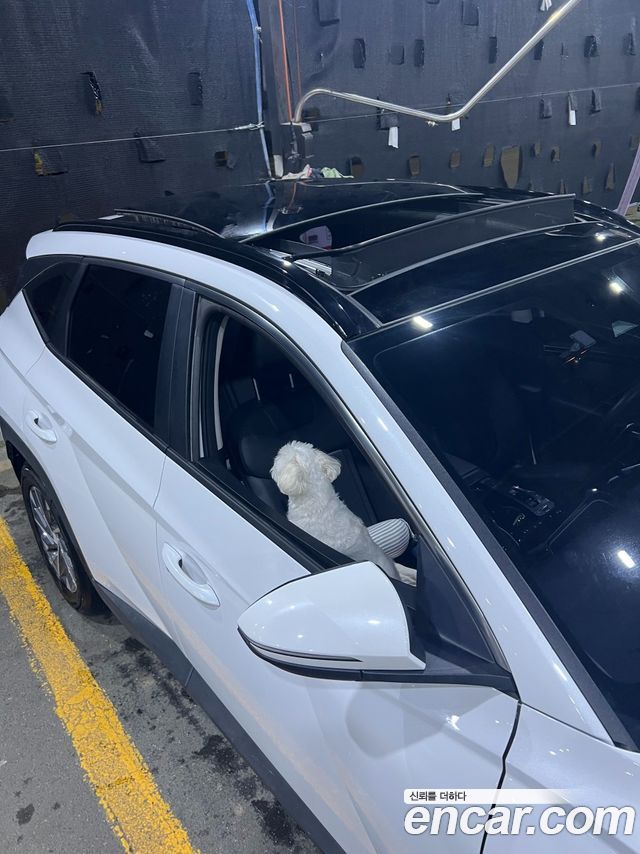 Hyundai Tucson NX4 Diesel 2.0 2WD Premium - фото 3