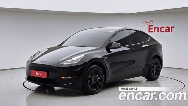 Tesla Model Y Long Range AWD - фото 0