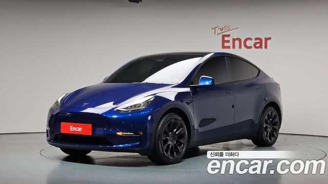 Tesla Model Y Long Range AWD - фото 0