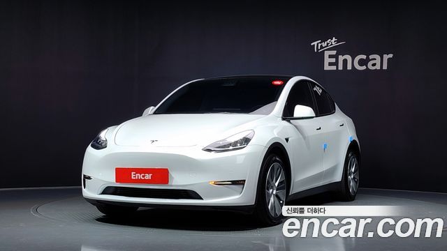 Tesla Model Y Long Range AWD - фото 0