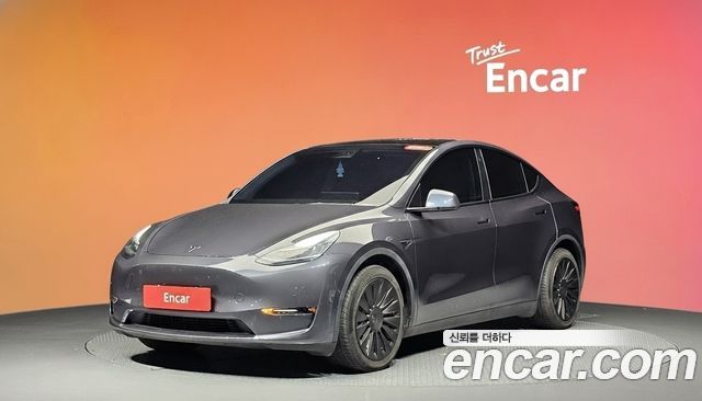 Tesla Model Y Long Range AWD - фото 0