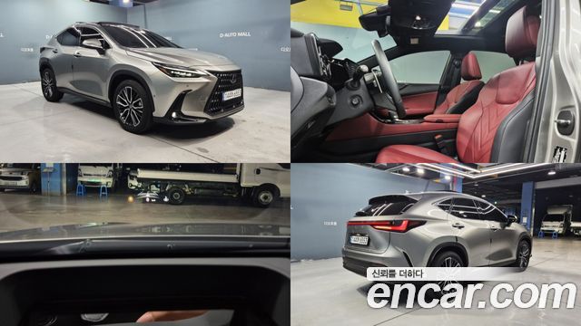 Lexus NX 2-го поколения Luxury - фото 0