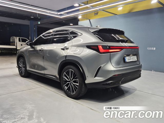 Lexus NX 2-го поколения Luxury - фото 4