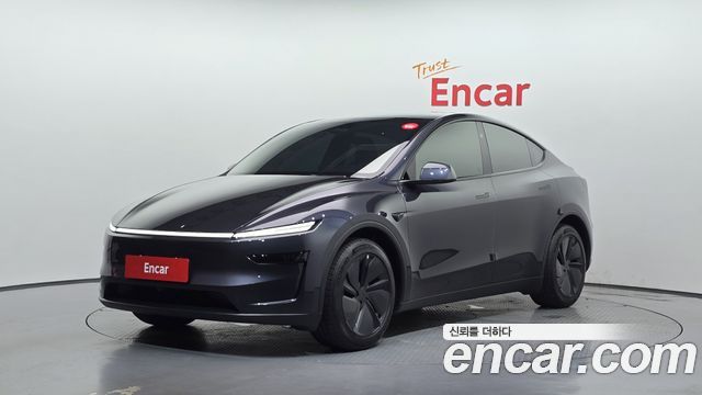 Tesla Model Y Long Range AWD - фото 0