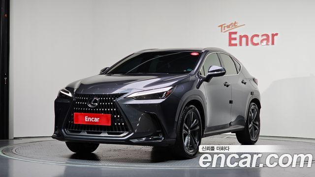Lexus NX 2-го поколения Premium - фото 0