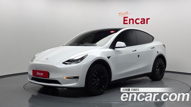 Tesla Model Y Long Range AWD - фото 0