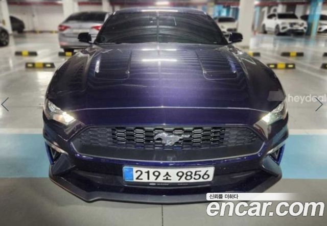 Ford Mustang Coupe - фото 2