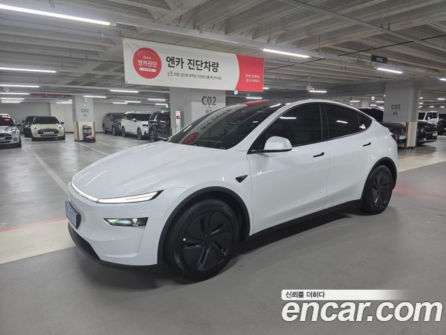 Tesla Model Y Long Range AWD - фото 0