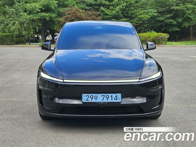 Tesla Model Y Long Range Launch Edition AWD - фото 0