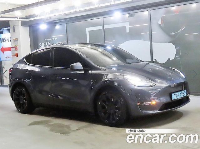 Tesla Model Y Long Range AWD - фото 0