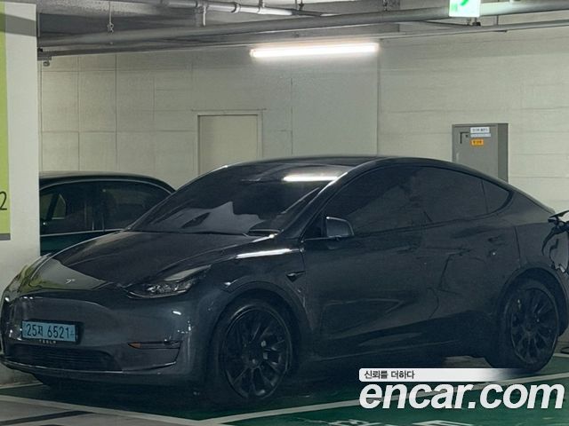 Tesla Model Y Long Range AWD - фото 0