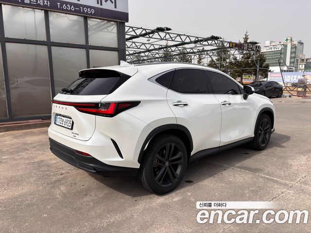 Lexus NX 350h 2-го поколения Premium - фото 1
