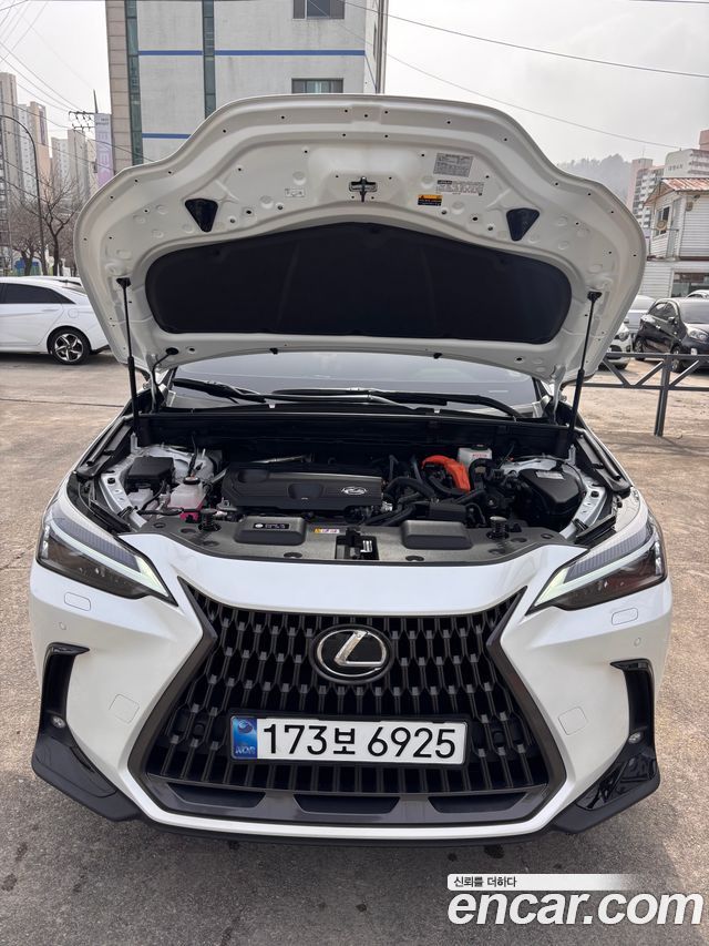 Lexus NX 350h 2-го поколения Premium - фото 4