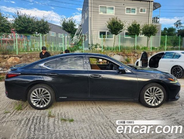 Lexus ES 7-го поколения Executive - фото 3
